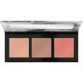 Catr. Luminice Highl. Blush Palette 010. 
