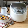 Tiger Rice Cooker 1Lt. 