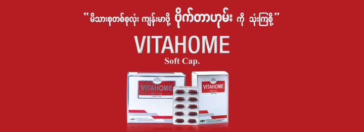 Vitahome%20(50's)%20-%20Image%204