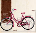 Aluminium Alloy Frame My Myanmar Woman Diecast Bike. 