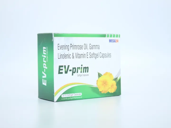 Mega%20EV-Prim%20-%20Image%202