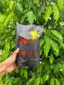 ဝင့်ဝါကော်ဖီ Wint War Coffee. 