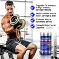 All MAX - Creatine Monohydrate ( 120 Capsules ). 