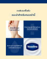 (Preorder) Vaseline | concentrated skin care lotion 600 ml.. 