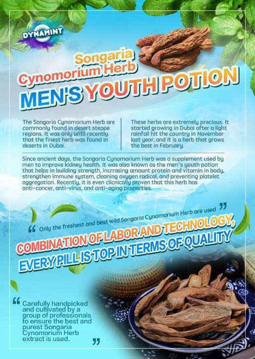 (Preorder)Dynamint%20chewable%20tablet%20supplement%20men%20for%20strong%2010%20pcs%20-%20Image%205