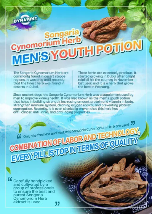 (Preorder)Dynamint%20chewable%20tablet%20supplement%20men%20for%20strong%2010%20pcs%20-%20Image%205