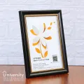 Quality Frames for Precious Memories, 5x7 Size Photo Frame, UC 312 (black). 