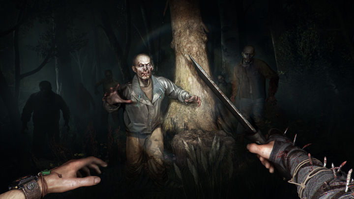 PC%20Game%20Dying%20Light%20:%20The%20Beast%20%E2%80%93%20Deluxe%20Edition%20(9%20DVDs)%20(Game%20with%2064GB%20Flash%20Drive)%20-%20Image%205