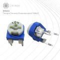 RM065 Trimpot Trimmer Potentiometer(100 ohm). 