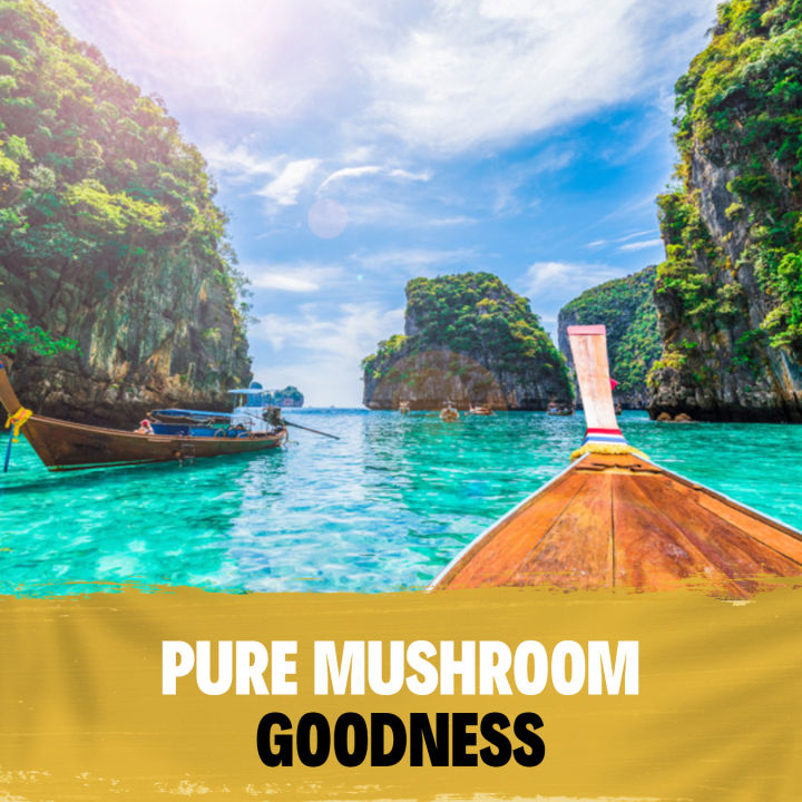 (Preorder)Mushroom%20Mind-Fuel%20Defense%20Combo%20-%20Value%20Pack%20x3%20Bottles%20-%20Lion's%20Mane%20Mushroom%20Capsules,%20Cordyceps%20&%20Reishi%20Mushroom%20Capsules%20-%20Image%206