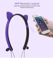 Wireless Bluetooth earphones cat earphones. 