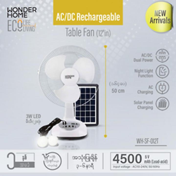 AC/DC Rechargeable 12