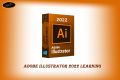 Adobe Illustrator 2022 Essential Learning DVD Soft Copy (iso). 