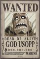 One Piece Wanted Poster. 