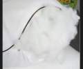 Silicon Pillow White ဆီလီကွန်ခေါင်းအုံး အဖြူူ. 