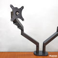 Dual Monitor Arm, Monitor Mount. 