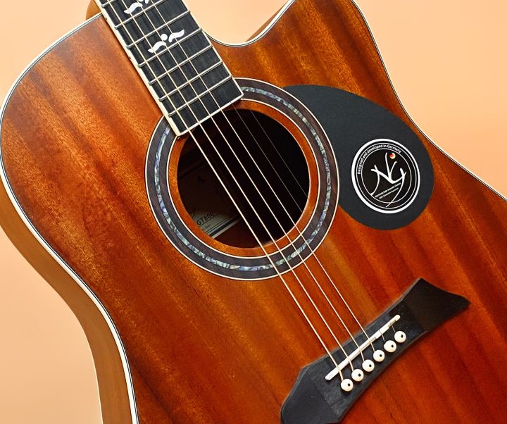 NG%20GT-800%2041"%20(M)%20Acoustic%20Guitar%20(Tike%20Na%20Lone%20Musical%20Shop)%20-%20Image%203