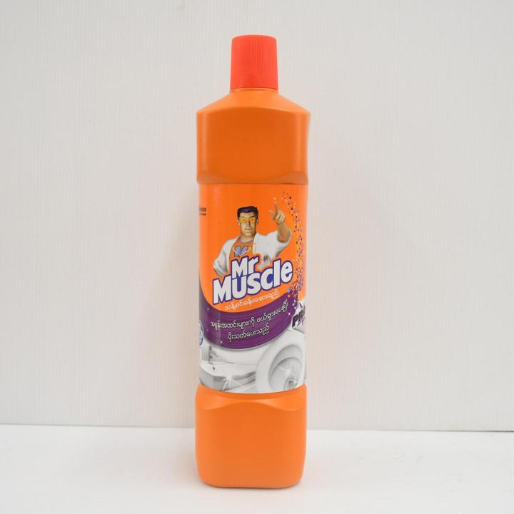 Mr Muscle Bathroom Cleaner 900g (Pro)