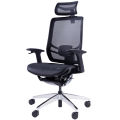 (Preorder) Ergotrend Ergotrend Health Chair Wisby Black. 