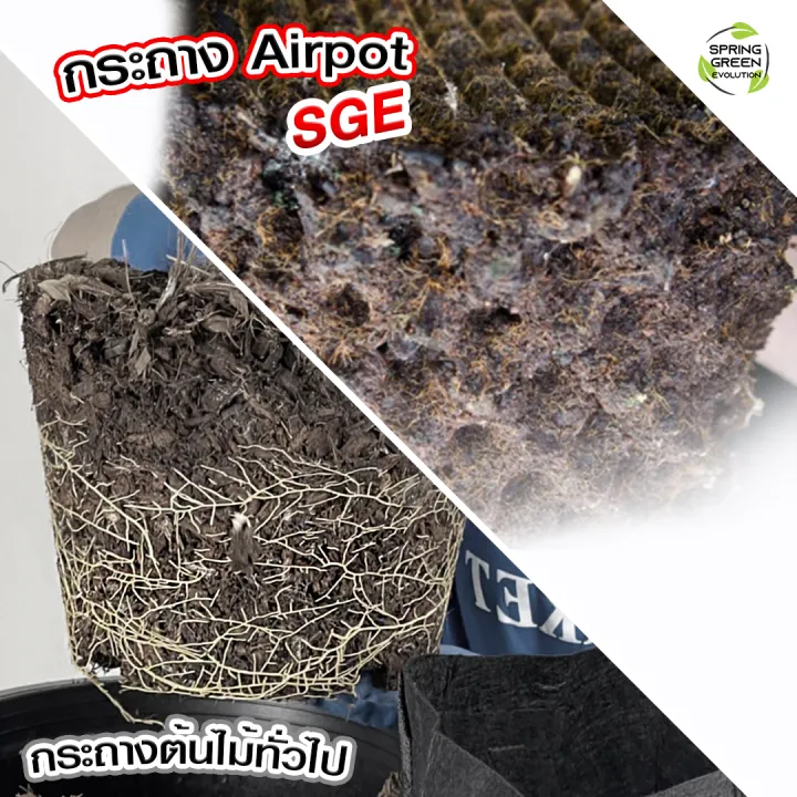 (Preorder)%20Air%20Pot%20plant%20pot,%20AP%20model,%20available%20in%207%20sizes,%20HDPE%20grade%20plastic%20material,%20not%20easily%20broken,%20eliminating%20root%20rot,%20fungus,%20-%20Image%202