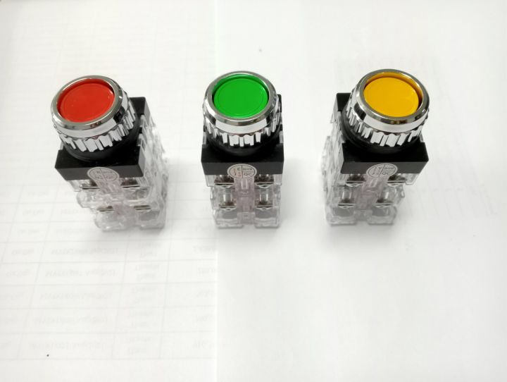 PUSH%20BUTTOM%20SWITCH%20(DIA%2025)(PBS%2030-%20PR-25B-2-R)%20-%20Image%205