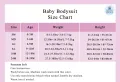 Newborn Monthly Milestone Onesies (Six Pcs). 