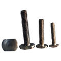 ¹/₄" x 1" (#M6 x 25mm) အရစ်ကျဲ Tနပ်တိုင်+ခေါင်း Standard Quality T Head Bolts & Nuts (Stock Limited). 