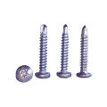 ခေါင်းလုံးကာဗိုက်စကူ Cross Recessed Phillips Pan Head Self-Drilling Screw. 