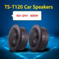 TS-T120 Hight Quality Tweeter (800W). 