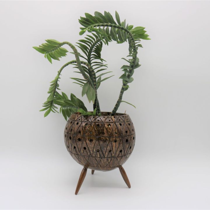 Coconut%20Shell%20Planter%20-%20Image%205