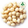 Macadamia Nuts မက္ကဒေးမီးယား 100g. 