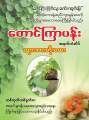 Taung Kyar Pann တောင်ကြာပန်း ကျားအားတိုးဆေး 1 ထုပ်. 