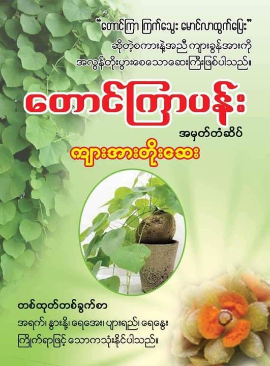 Taung Kyar Pann တောင်ကြာပန်း ကျားအားတိုးဆေး 1 ထုပ်