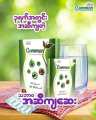 Common အဆီဖျော်ဖြည့်စွက်စာဆေး. 