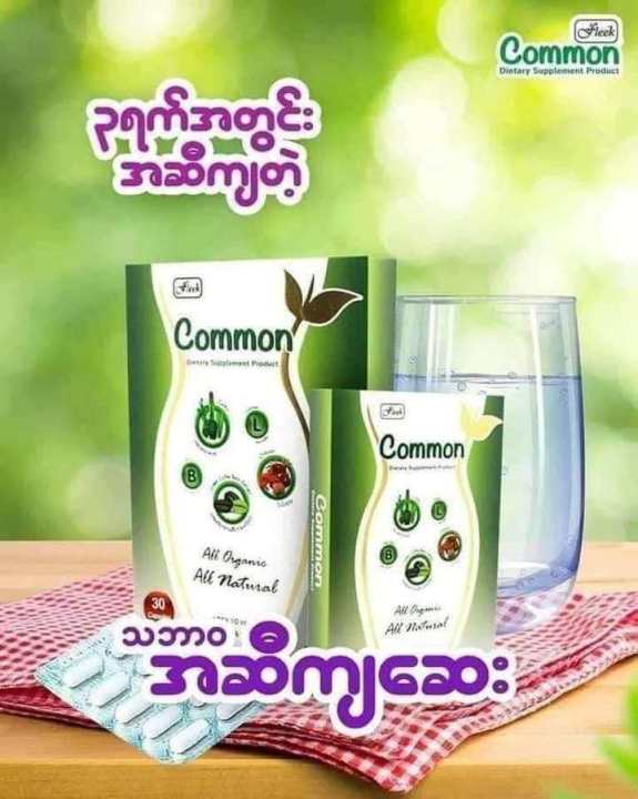 Common%20%E1%80%A1%E1%80%86%E1%80%AE%E1%80%96%E1%80%BB%E1%80%B1%E1%80%AC%E1%80%BA%E1%80%96%E1%80%BC%E1%80%8A%E1%80%BA%E1%80%B7%E1%80%85%E1%80%BD%E1%80%80%E1%80%BA%E1%80%85%E1%80%AC%E1%80%86%E1%80%B1%E1%80%B8%20-%20Image%203