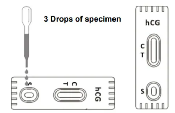 Ms.%20Tellme%20Pregnancy%20Test%20HCG%20Pregnancy%20Rapid%20Test%20Cassette%20(Urine)%20%E1%80%80%E1%80%AD%E1%80%AF%E1%80%9A%E1%80%BA%E1%80%9D%E1%80%94%E1%80%BA%E1%80%9B%E1%80%BE%E1%80%AD%E1%80%99%E1%80%9B%E1%80%BE%E1%80%AD%20%E1%80%86%E1%80%AE%E1%80%B8%E1%80%85%E1%80%99%E1%80%BA%E1%80%B8%E1%80%95%E1%80%85%E1%80%B9%E1%80%85%E1%80%8A%E1%80%BA%E1%80%B8%20(1%20pc)%20-%20Image%203
