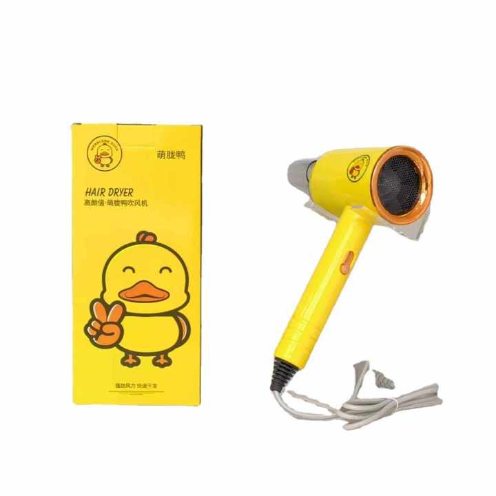 ဘဲပုံ hair dryer