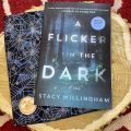 A Flicker in the Dark - Stacy Willingham. 