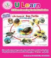 ULearn Poster Life Cycle of Sea Turtle. 