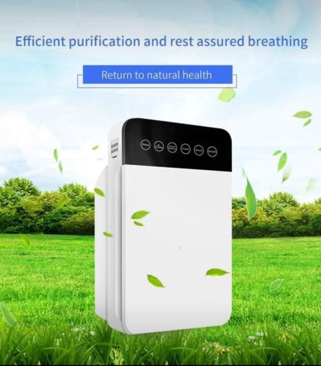 Negative ion air purifier