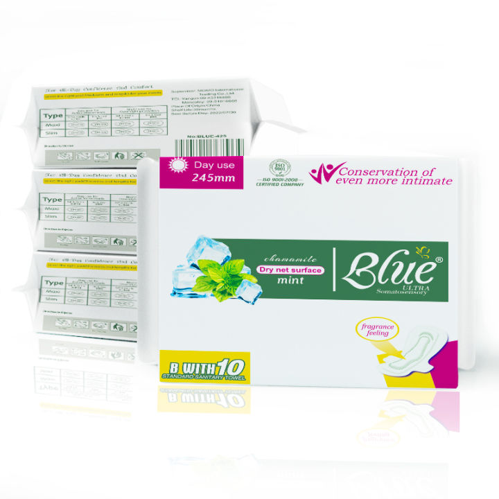 Blue_425%20(Mint)-%20PFP%20245%20mm%20with%20wings%2010's%20-%20Image%203