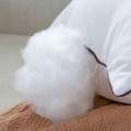 Silicon Pillow White ဆီလီကွန်ခေါင်းအုံး အဖြူူ. 