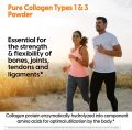Doctor's Best, Pure Collagen Types 1 and 3 Powder, 7.1 oz (200 g). 