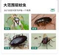 (preorder)Mosquito-repellent incense  wormwood mosquito-repellent incense incense stick indoor hotel commercial mosquito repellent stall run. 