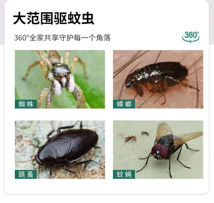 (preorder)Mosquito-repellent%20incense%20%20wormwood%20mosquito-repellent%20incense%20incense%20stick%20indoor%20hotel%20commercial%20mosquito%20repellent%20stall%20run%20-%20Image%204
