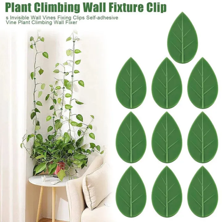 Plant%20Climbing%20Wall%20Fixture%20Clips%20Self-Adhesive%20Plant%20Fixer%20Invisible%20Leaf%20Shaped%20Wall%20Vines%20Fixing%20Clips%20Hook%20Plant%20Vine%20Traction%20for%20Home%20Decoration%20and%20Cable%20Wire%20Fixing%20-%20Image%202