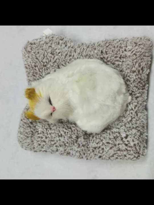 Clover%20Display%20Mold%20Sleeping%20Cat%20Design%20Purifying%20Air%20Plastic%20CartoonSimulation%20Animal%20Model%20for%20Car%20Kitten%20Models%20Home%20Decoration%20Toy(%E1%80%A1%E1%80%94%E1%80%B6%E1%80%B7%E1%80%85%E1%80%AF%E1%80%95%E1%80%BA%E1%80%80%E1%80%BC%E1%80%B1%E1%80%AC%E1%80%84%E1%80%BA%E1%80%9B%E1%80%AF%E1%80%95%E1%80%BA%E1%80%9C%E1%80%B1%E1%80%B8)%20-%20Image%204