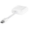 Apple Mini DisplayPort to VGA Adapter. 