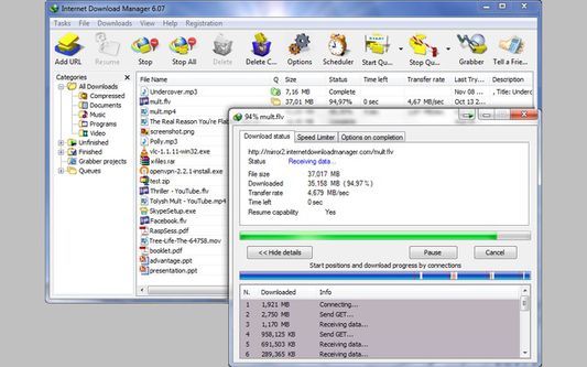 IDM%20Internet%20Download%20Manager%20Lifetime%201%20PC%20-%20Image%204
