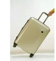 it Luggage Confide Sandy Carbon Effect (Small). 
